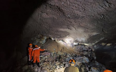 ​Использование передовых технологий: 